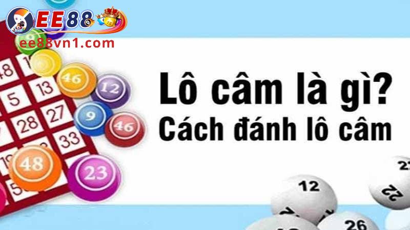 Tìm hiểu đôi chút về lô câm là gì?